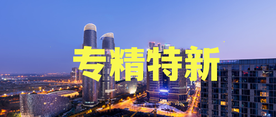 专精特新